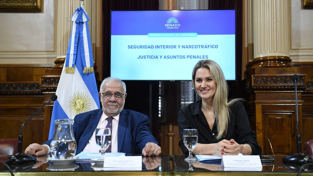 El plenario de las comisiones de Seguridad Interior y Narcotráfico y de Justicia y Asuntos Penales del Senado logró dictaminar hoy el proyecto de ley de que propone el abordaje integral del crimen organizado o Ley Antimafias. (Foto: NA)