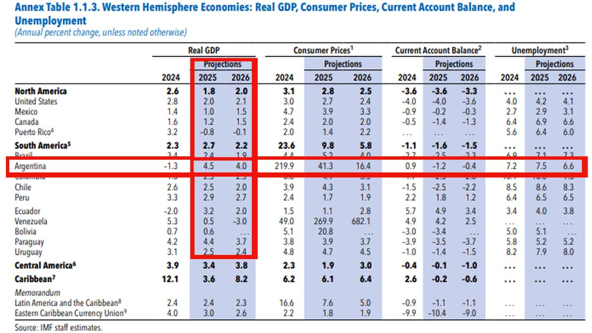 Las estimaciones del FMI, actualizadas en este mes de octubre, reducen las expectativas favorables para la Argentina, tanto en 2025 como en 2026. (Foto: FMI)