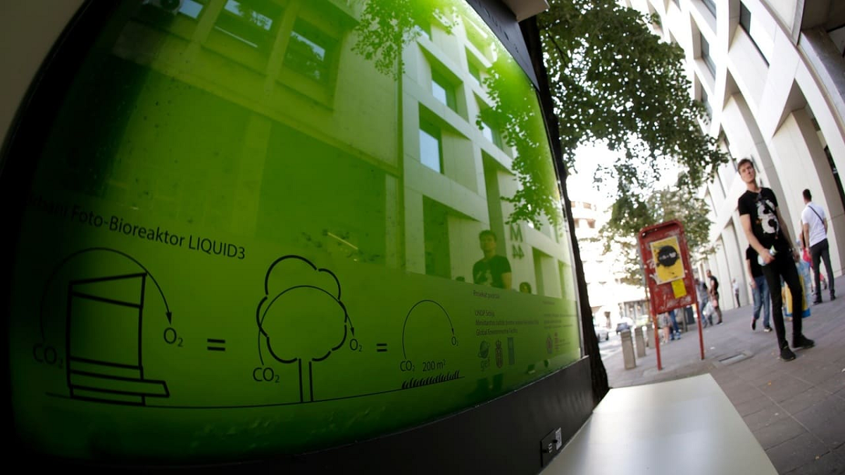 Este acuario de cristal está relleno de 600 litros de agua y microalgas que capturan el dióxido de carbono y las partículas en suspensión y emiten oxígeno. Así colaboran con el cuidado del medioambiente.