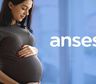 Asignaciones por Embarazo, Prenatal y Maternidad: Quiénes cobran hoy 13 de septiembre