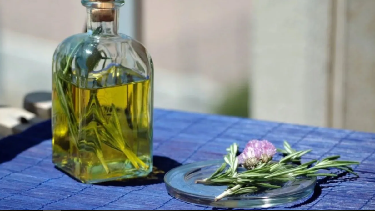 Receta casera de Caña de Ruda para el 1 de agosto