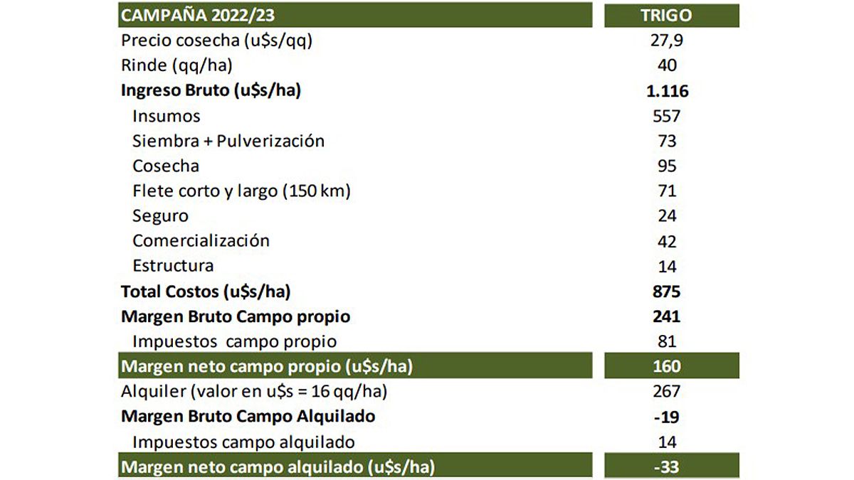 Números negativos: en la Bolsa rosarina entienden que un campo alquilado debería lograr una cosecha récord de trigo para no ir a pérdida. 