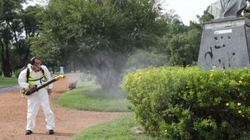 Datos a tener en cuenta sobre el Dengue