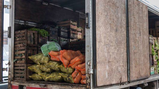 Se podrá presentar el documento para trasladar productos vegetales en soporte electrónico