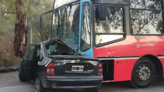 Mendoza: quiso esquivar a un perro, chocó contra un colectivo y murió