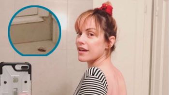 Connie Ansaldi: selfie de entrecasa y ¡cucaracha muerta!