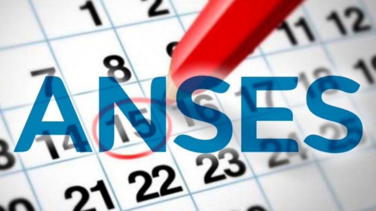 Anses: por los feriados, hay cambios en el calendario de octubre 2021