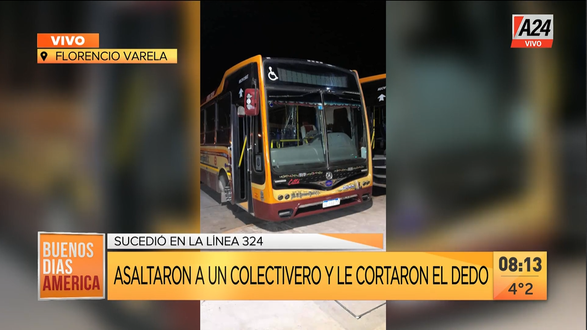 Asaltaron y le cortaron el dedo a un chofer de la línea 324 (Foto: captura de TV).