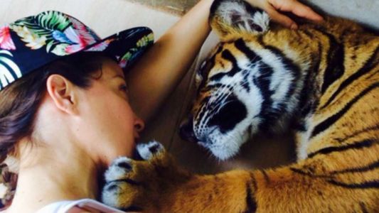 Fuerte mensaje de Miriam Lanzoni contra los que matan animales