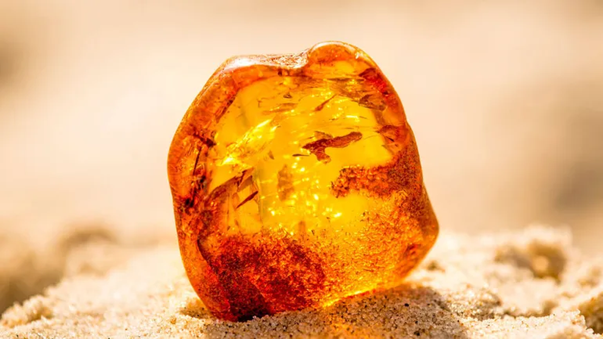 Piedra de ámbar encontrada en Rumania. Foto: Internet. Piedra de ámbar encontrada en Rumania. Foto: Internet.