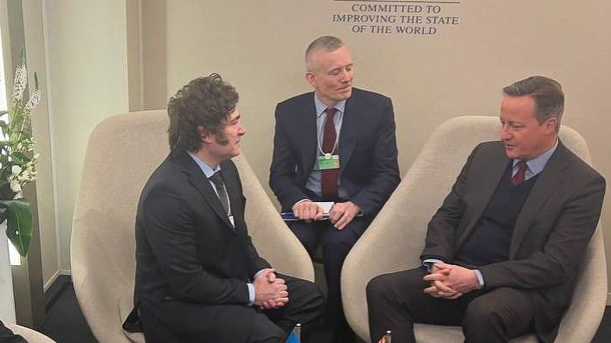 Milei y Cameron en la reunión que mantuvieron en Davos (Foto: Oficina del Presidente Electo).