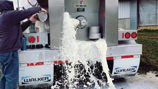 Tamberos de Estados Unidos tiran leche para frenar la caída de precios por el coronavirus