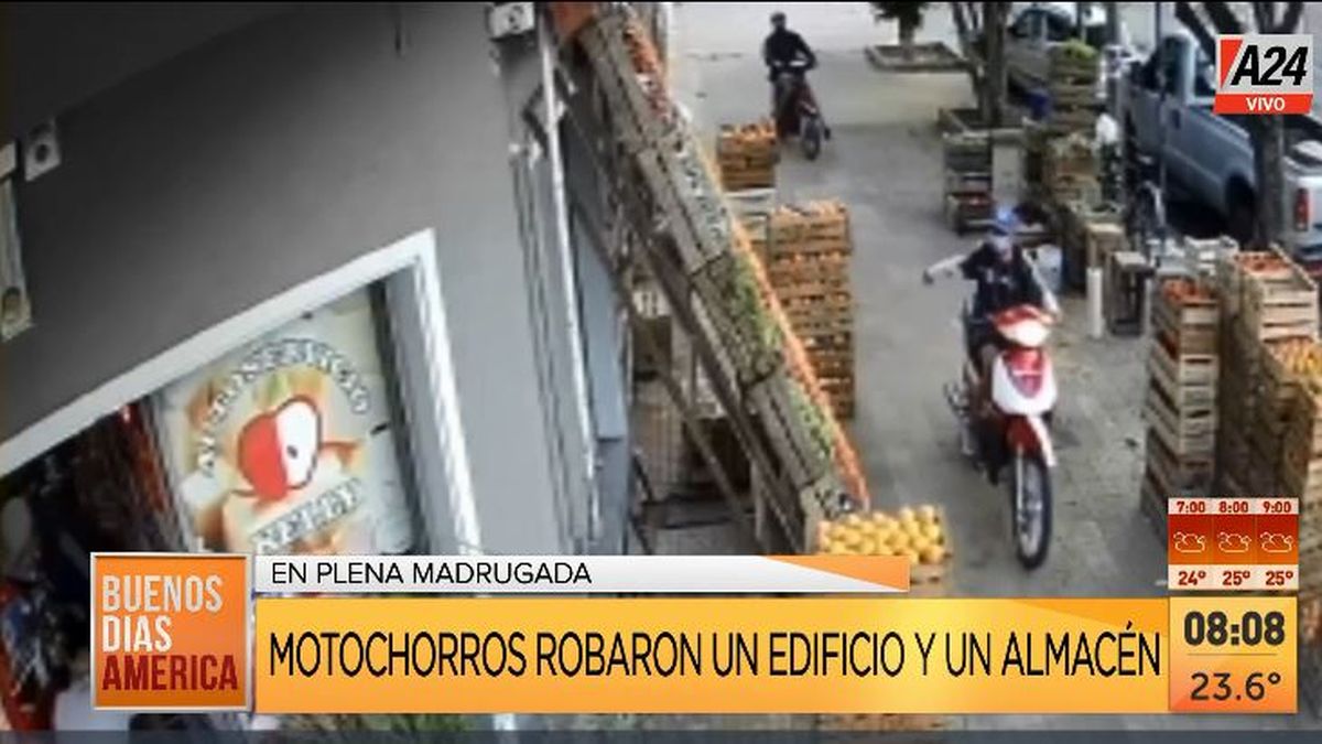 La Plata: el ladrón que no lo frena nada hizo un raid. (Captura de Tv)