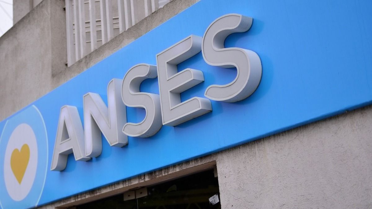 Atención ANSES: suspendieron un histórico beneficio (Foto: archivo).