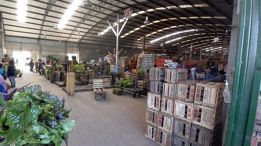 La escasez de gasoil ya afecta la provisión de alimentos: cuánto disminuyó la llegada de camiones desde el Norte del país