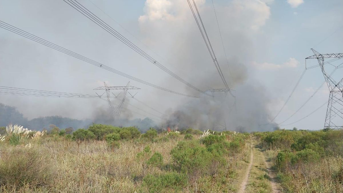 Apagón masivo: la Justicia ya investiga cómo se originaron los incendios.