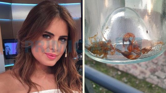 Silvina Luna reveló detalles del drama que vive con los alacranes en su casa