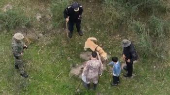 Caso Loan: Así es el campo donde habrían enterrado a un nene en una bolsa negra