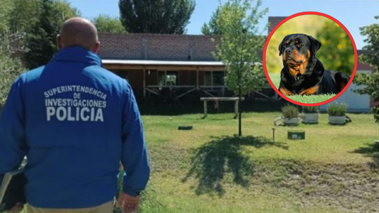 Fusiló al rottweiler de su vecino y ahora lo investigan por crueldad animal