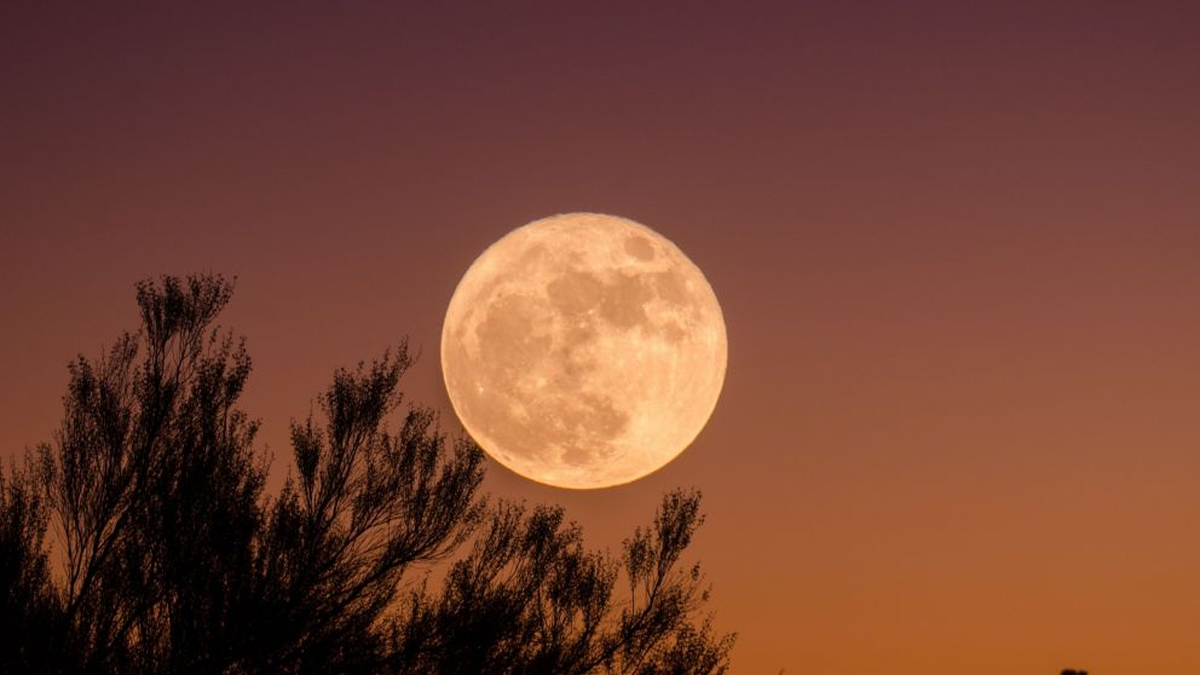 Cerrar cap&iacute;tulos emocionales y ordenar prioridades ser&aacute; la clave para recibir el nuevo ciclo astral con la mente despejada. Foto: Astrolog&iacute;a.