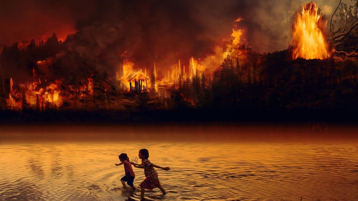 Incendios y deforestación del Amazonas. Lula lleva un plan para revertirlo a la cumbre del clima (Foto: Gentileza Recytrans)