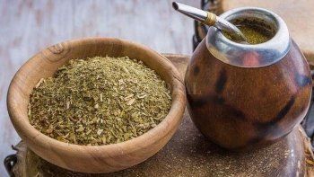 Leyenda de la Yerba Mate (Historia y Resumen)