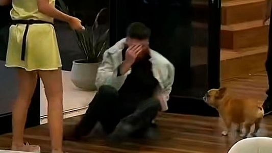 El accidente de Tato con uno de los perros de Devi