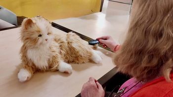 Aseguran que las mascotas robot ayudan a reducir las emociones negativas en personas con Alzheimer