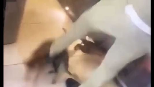 Maltrato animal: las imágenes de Zouma golpeando salvajemente a su gato