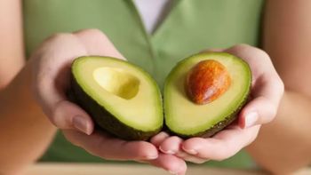 Si tenés una palta en tu casa, tenés un tesoro y no lo sabías: cuál es su gran secreto