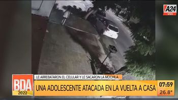 La Plata: brutal ataque de motochorros en piraña a una joven. (Captura de tv)