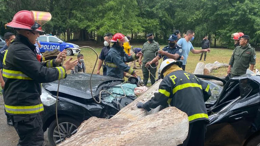 Rescataron al conductor de un auto aplastado por un árbol frente al predio de la AFA de Ezeiza