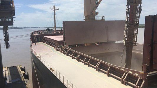 Más dólares: en enero subió 27% el ingreso de divisas por la exportación de granos