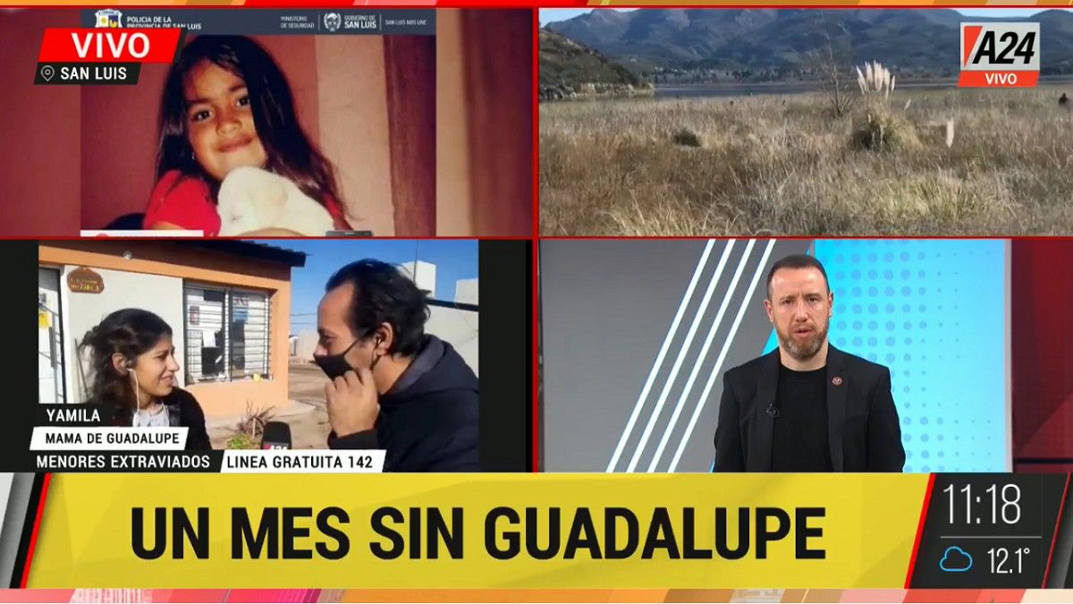 Se cumple un mes de la desaparición de Guadalupe Lucero (Foto: captura de pantalla).