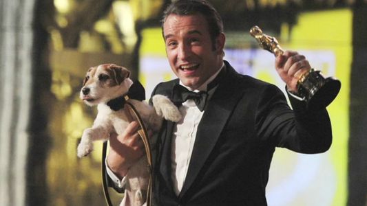 Murió Uggie, consagrado perro de Hollywood