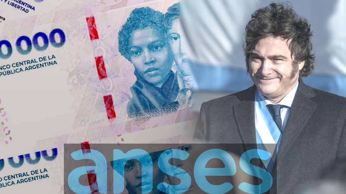 CONFIRMADÍSIMO por ANSES y Milei: esta semana se activa el pago de $308.000 (Foto: archivo)