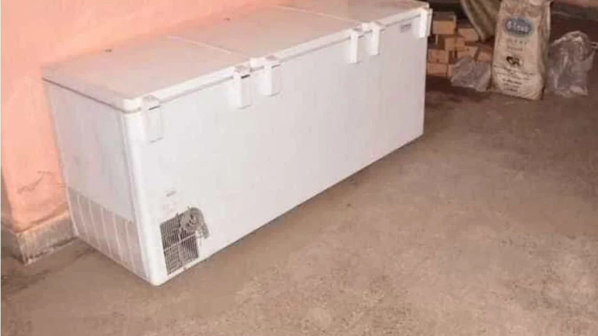 Mató a su abuela tras encerrarla en un freezer