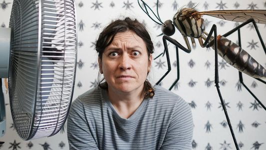 ¡Adiós, MOSQUITOS! Consejos HIPER sencillos para una primavera LIBRE DE DENGUE