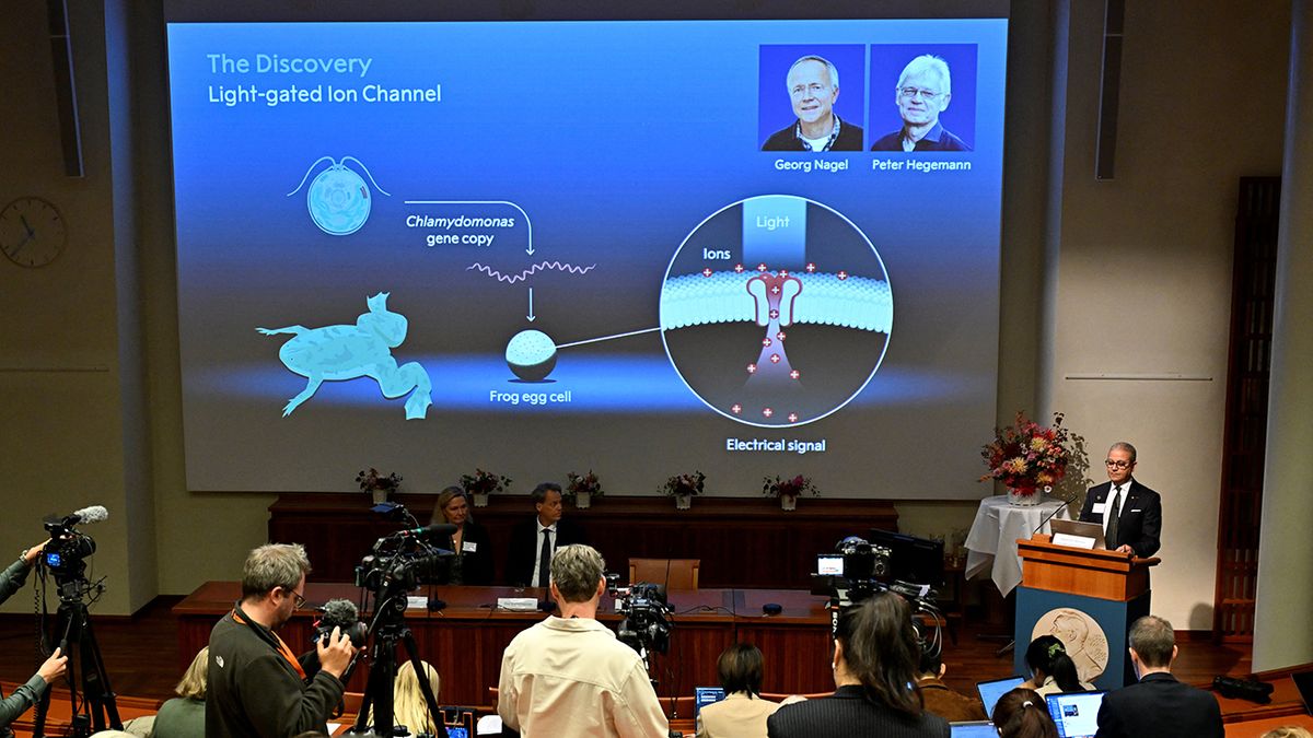 Deisseroth, Hegemann y Nagelwin ganan el Nobel de Medicina de 2026. (Foto: Reuters)