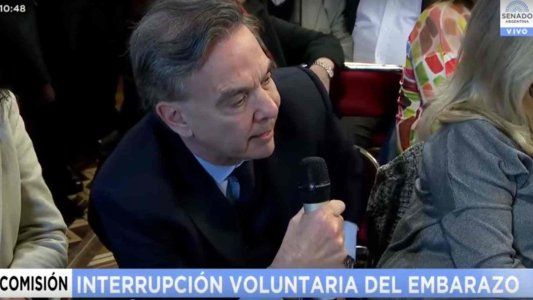 El video de la fuerte pelea entre Pichetto y su vice en el debate por el aborto