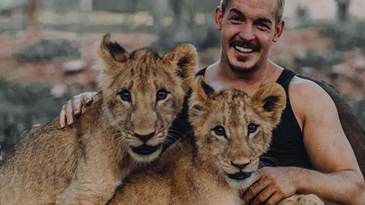 El video viral de un joven que juega con leones como si fueran gatitos