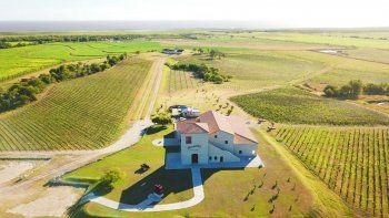 Dejaron el mundo digital para fundar una bodega y ahora buscan instalar a Entre Ríos en el mapa mundial del vino