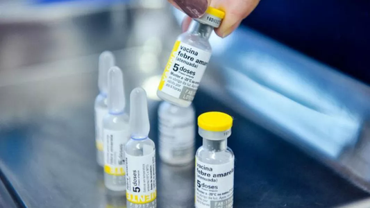 El Gobierno anunció que dejará de aplicar la vacuna de la fiebre amarilla para quienes viajen al exterior