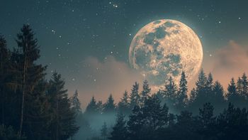 Superluna de noviembre 2024: cuándo y cómo ver la última Luna del Castor del año