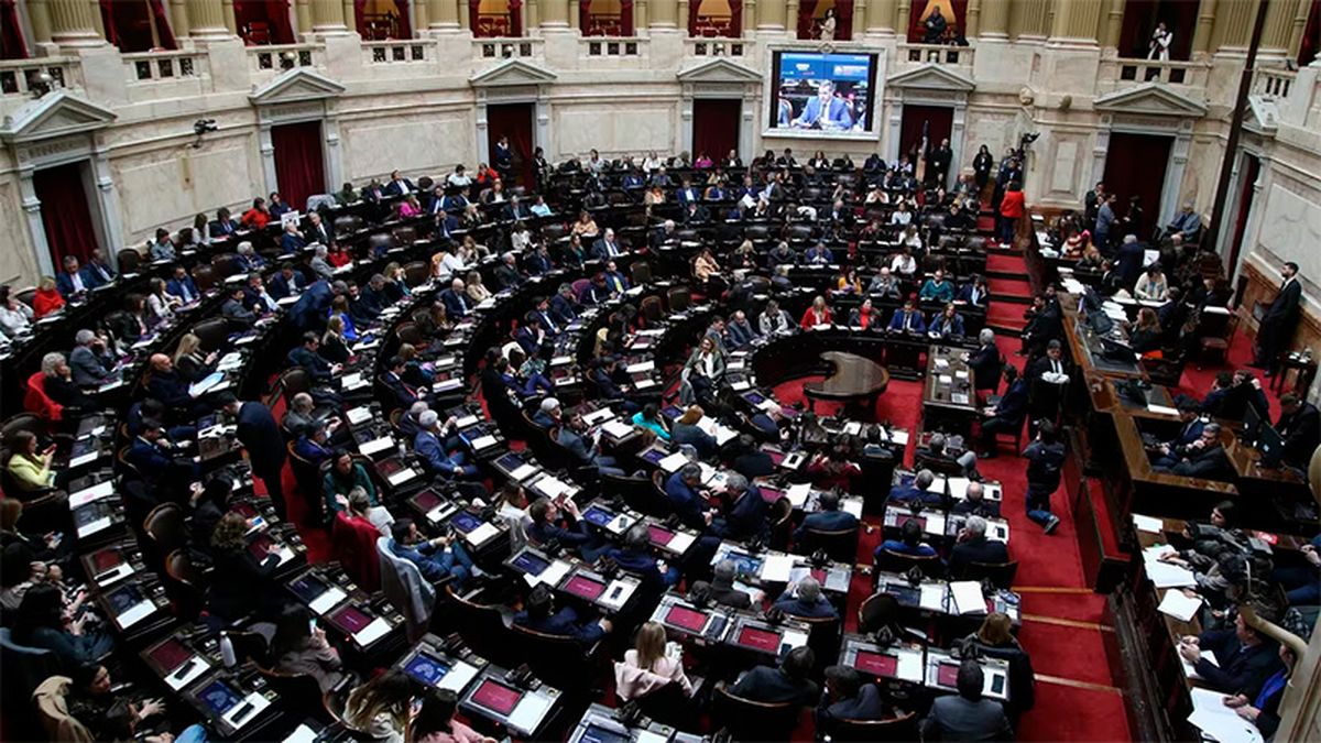 Los diputados de Unión Diputados de Unión por la Patria piden la aceleración de la creación de la comisión bicameral para tratar el DNU: (Foto: archivo).