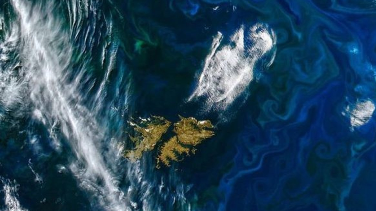 El hallazgo sin precedentes en las Islas Malvinas que podría cambiar por completo todo