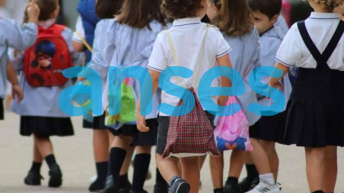 El Gobierno extendió los vouchers educativos: hasta cuándo se pagan (Foto: archivo)