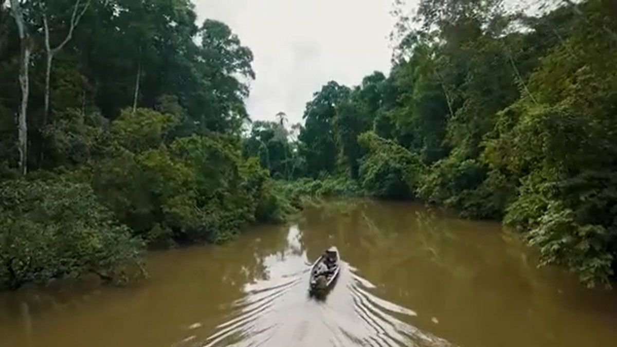 La región del Amazonas y el esfuerzo multilateral de Lula para su preservación. (Foto: Captura de TV)