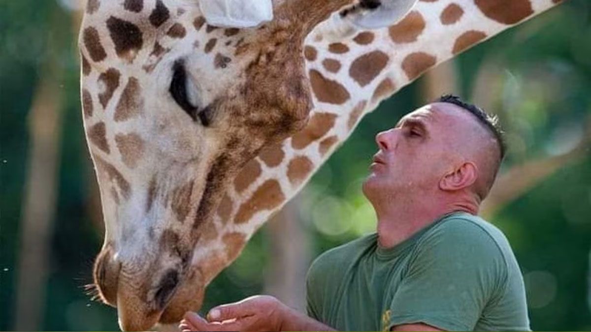 Inseparables: la historia de una jirafa y su cuidador que compartieron su vida murieron casi al mismo tiempo.