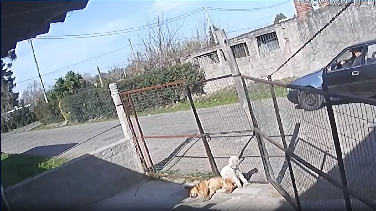 Así captaba una cámara el impactante hecho. Foto: captura de video.&nbsp;